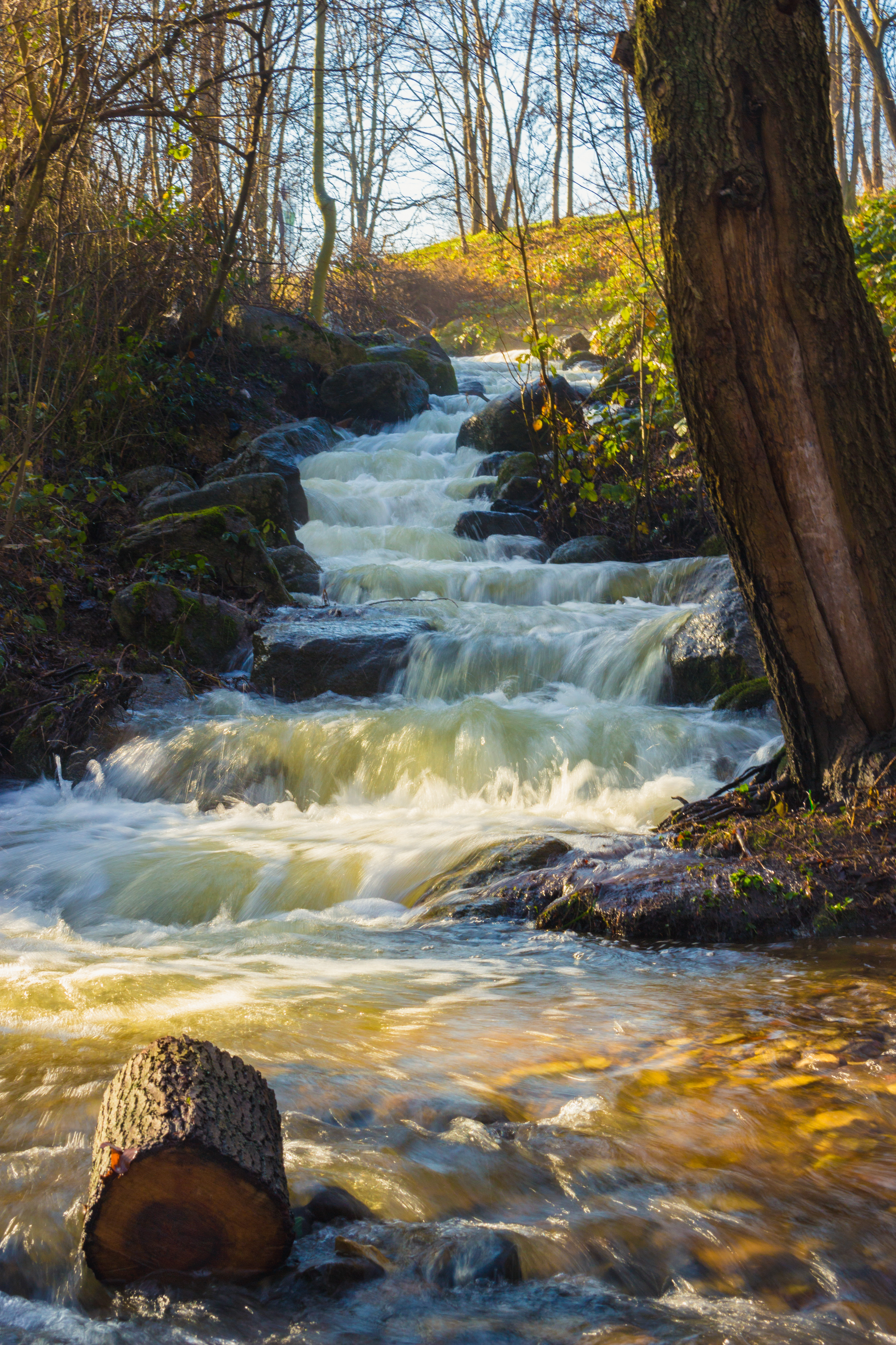 Cascade du parc de Beaumont